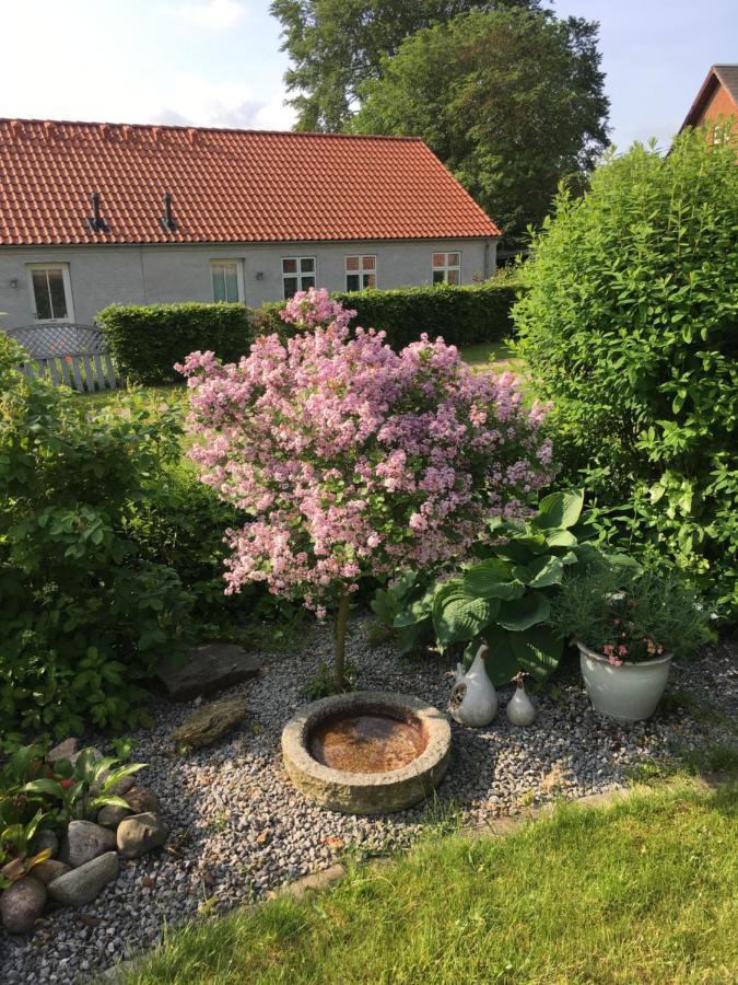 Apartmán Anneks Til Bondehus Randers Exteriér fotografie